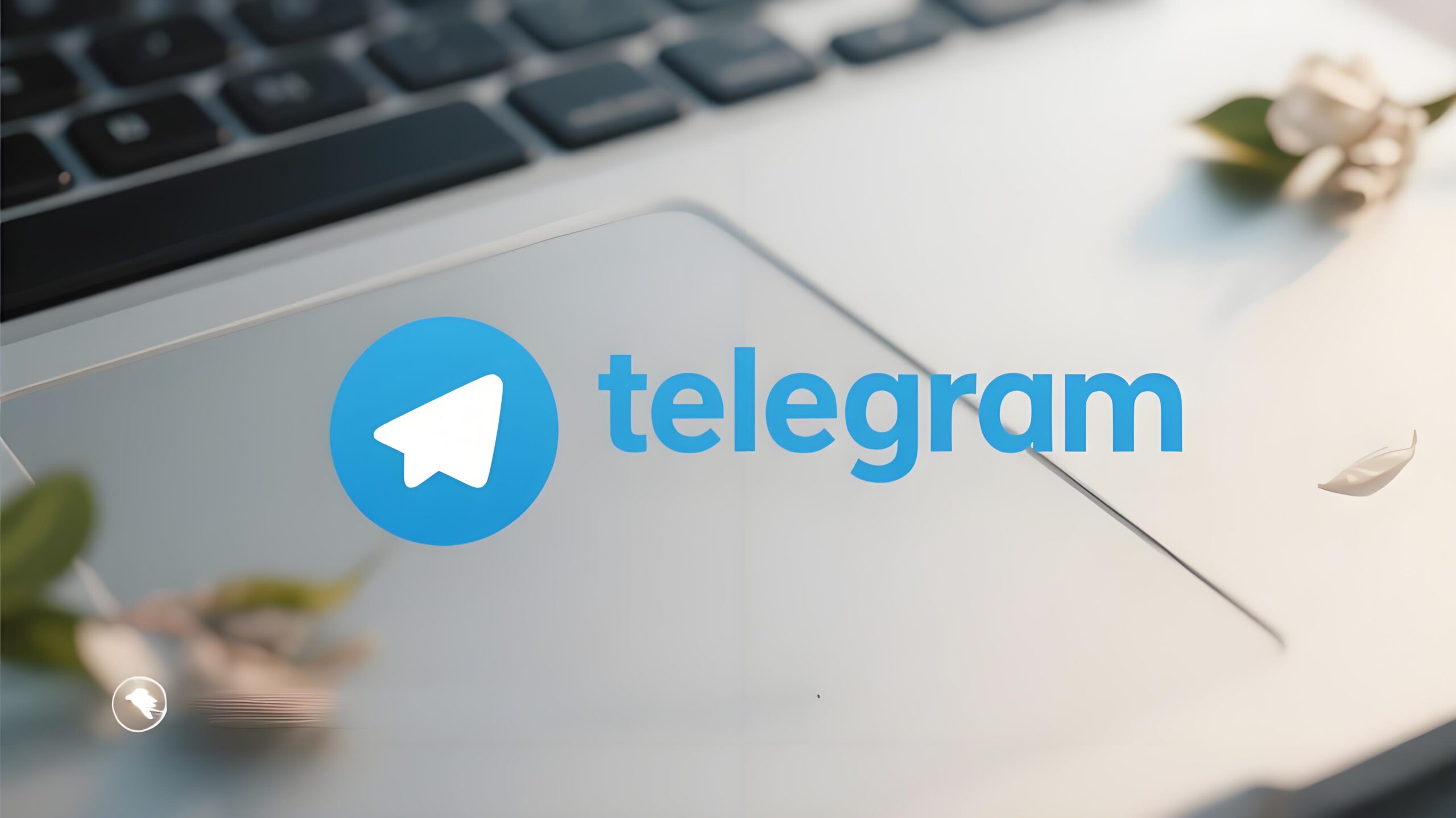 Telegram如何更新？你可能忽略了这些隐藏技巧