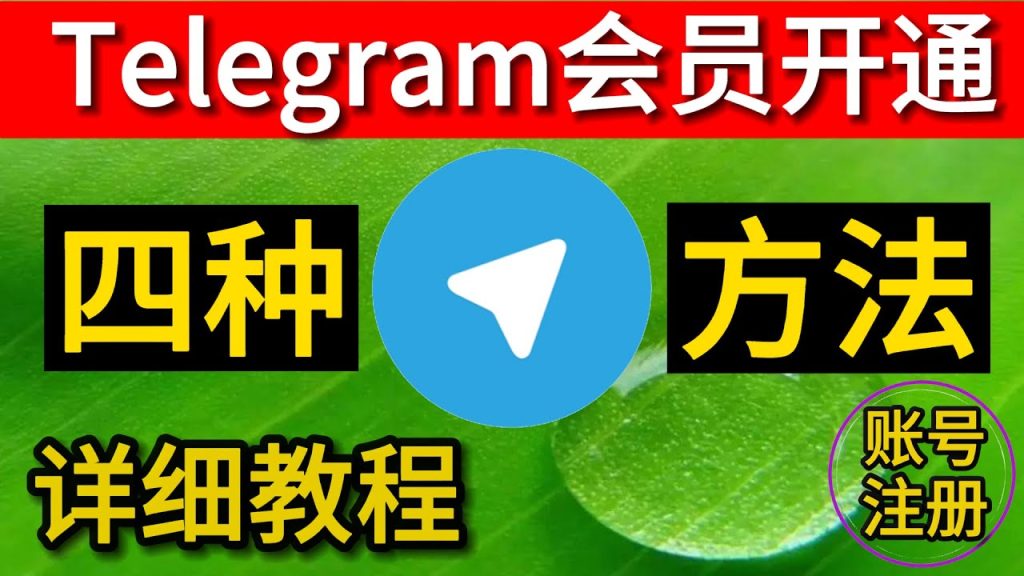 如何在Telegram开通会员?
